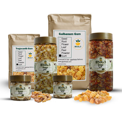 صمغ و شیره گیاه