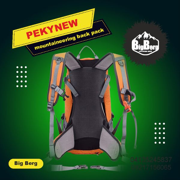 کوله پشتی پکینیو مدل تبریز 20