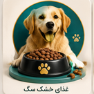 غذای خشک سگ