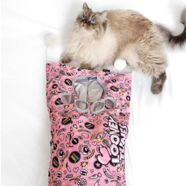 تونل بازی طرحدار گربه / Cat tunnels with patterns