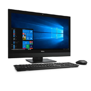 آل این وان استوک