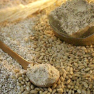 سویق جات