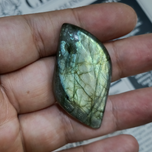 لابرادوریت3