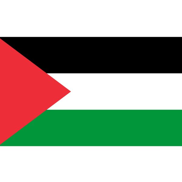 برچسب حرارتی لباس و تیشرت مدل پرچم فلسطین