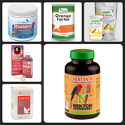 رنگدانه پرندگان