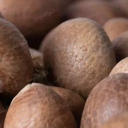 فوفل _100 گرم