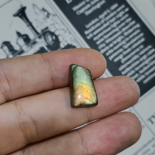 لابرادوریت3