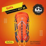 کوله پشتی 30 لیتری مدل آلپ