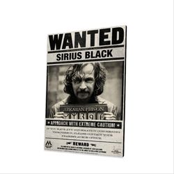 تابلو شاسی طرح سیریوس بلک هری پاتر