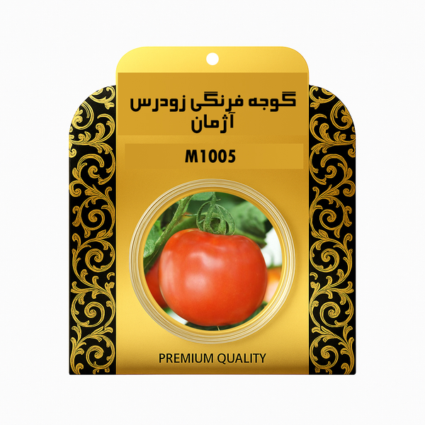 بذر گوجه فرنگی زودرس اروپایی آژمان 1005