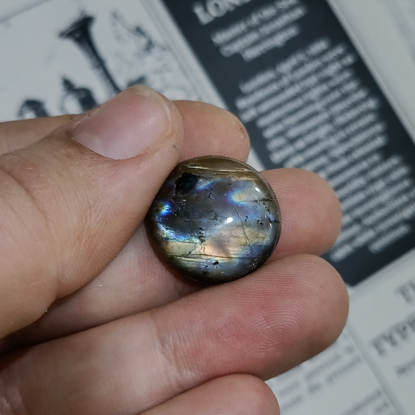 لابرادوریت3