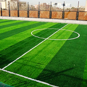 چمن فوتبالی