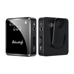 میکروفون بی سیم دو کاناله Baiwangli SX39