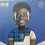 پریمیوم توتی/PREMIUM TOTY