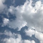 111