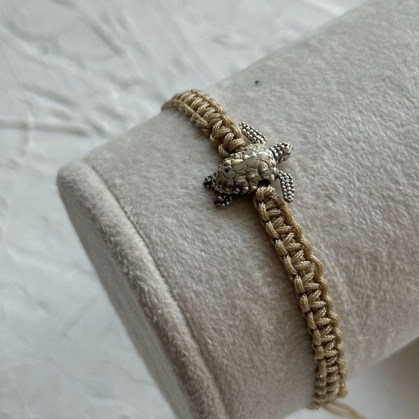 لاک پشت 3 بعدی