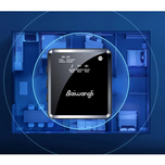 میکروفون بی سیم دو کاناله Baiwangli SX39