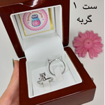 ست انگشتر دوتایی