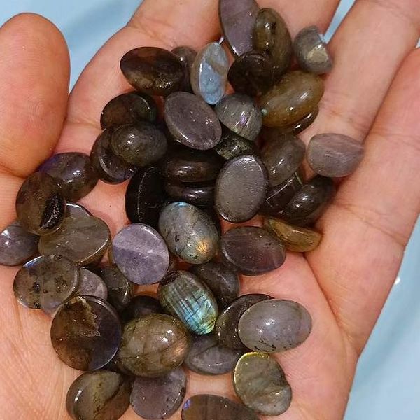 مینی لابرادوریت