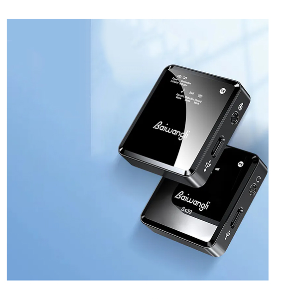 میکروفون بی سیم دو کاناله Baiwangli SX39