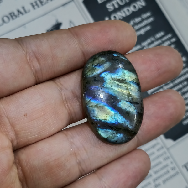 لابرادوریت3