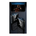 میکروفون بی سیم دو کاناله Baiwangli SX39