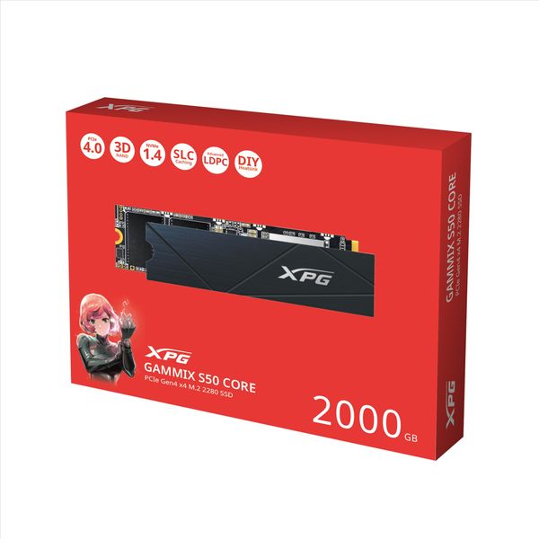 اس اس دی ایکس پی جی مدل XPG S50 Core 2TB