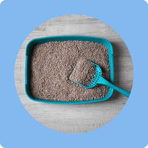 خاک و ظرف خاک