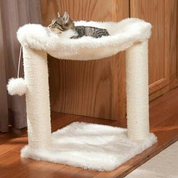 اسکرچر تک نشیمن