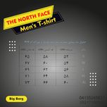 بلوز نیم زیپ کوهنوردی  نورث فیس the north face