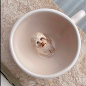 پت شخصی🐈