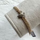 لاک پشت 3 بعدی