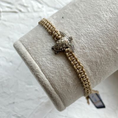 لاک پشت ۳ بعدی