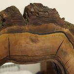 آینه دیواری چوب طبیعی روستیک