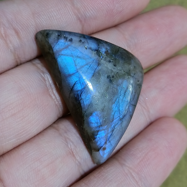 لابرادوریت3