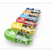کپسول ها Capsules