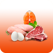 مواد پروتئینی و تخم مرغ