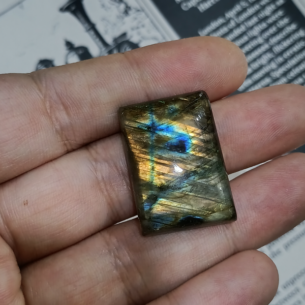 لابرادوریت3