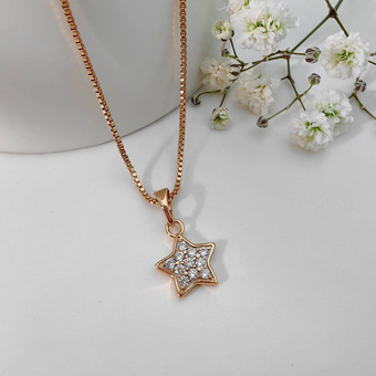 پلاک ستاره نگین دار کد 2027