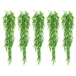 آویز اکالیپتوس بسته 5 عددی