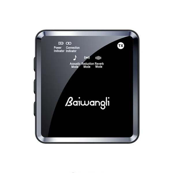میکروفون بی سیم دو کاناله Baiwangli SX39 Type C