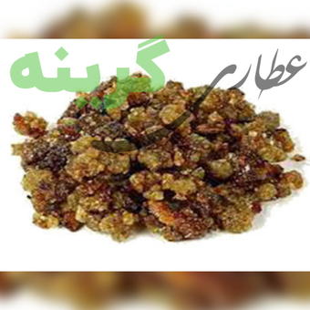 مقل ارزق