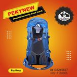 کوله پشتی پکینیو مدل Aries 45+5L