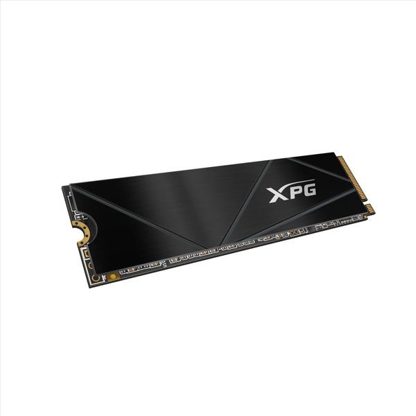 اس اس دی ایکس پی جی مدل XPG S50 Core 2TB