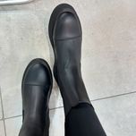 بت زارا وودلند کد 272