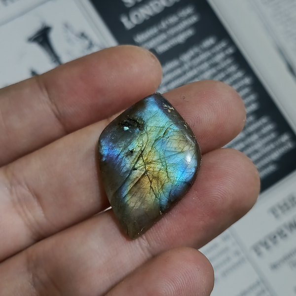 لابرادوریت3