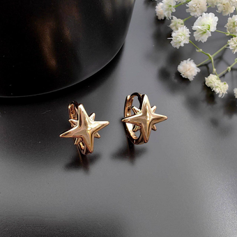 گوشواره ستاره کد 2035