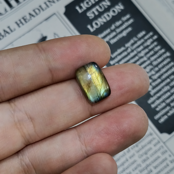 لابرادوریت3