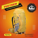 کوله پشتی پکینیو مدل Aries 45+5L