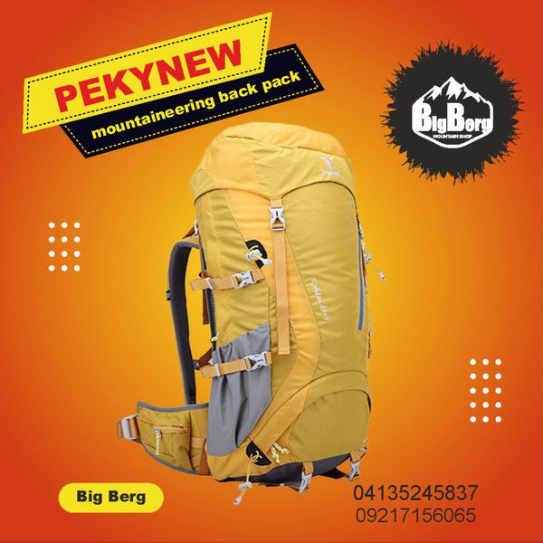 کوله پشتی پکینیو مدل Aries 45+5L